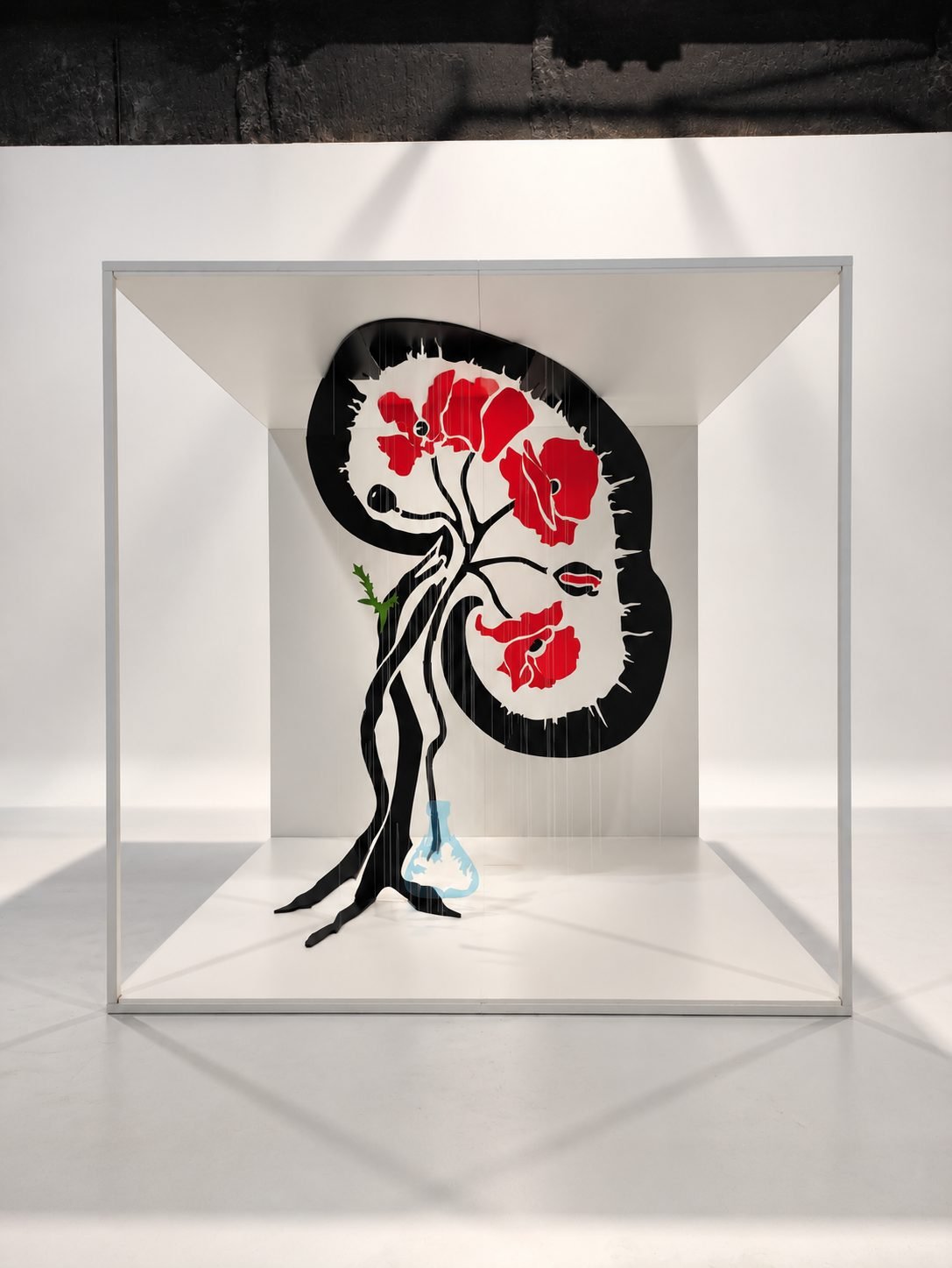 Installation Anamorfosi Vínculos Vitales for Vínculos Vitales, Madrid
